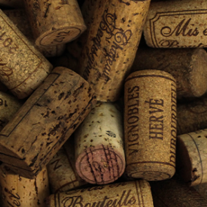 mejores vinos 2021